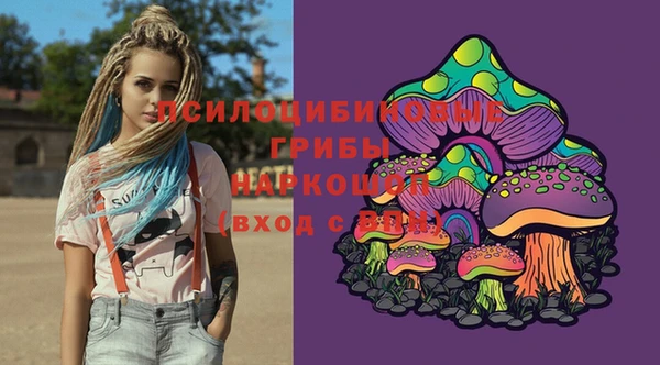 индика Орехово-Зуево