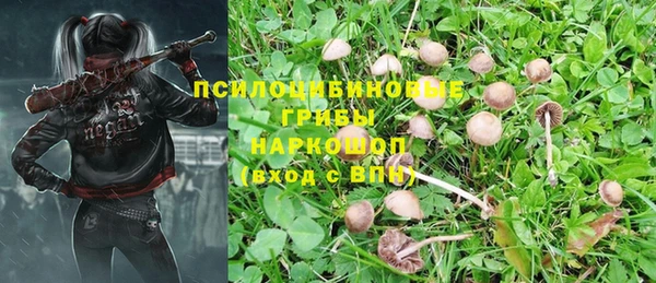скорость Алексеевка