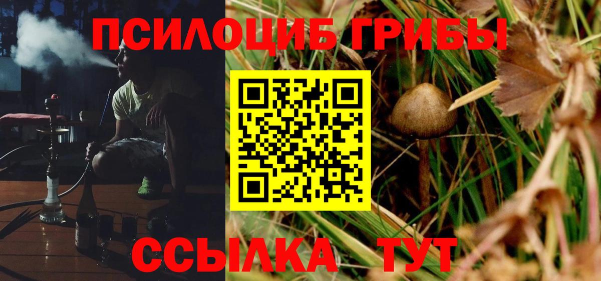 Галлюциногенные грибы прущие грибы Югорск